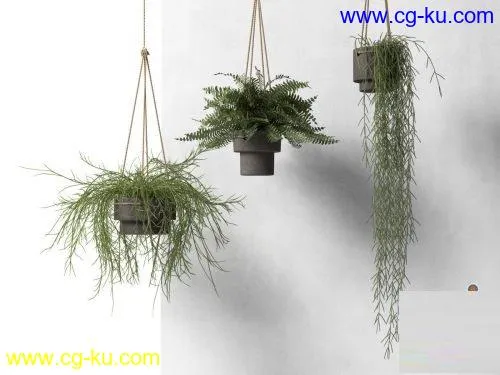 CGTrader – Hanging Pots with Plants 3D model的图片1