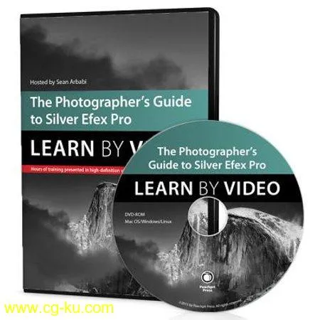 The Photographer's Guide to Silver Efex Pro: Learn by Video的图片1