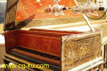 realsamples Austrian Harpsichord Edition Beurmann MULTiFORMAT的图片2