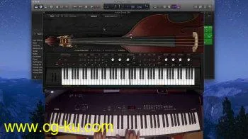 Ample Sound Ample Bass Upright III v3.00 MacOS的图片1