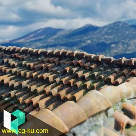 Gumroad – Creating Roof Tiles in Substance Designer的图片1