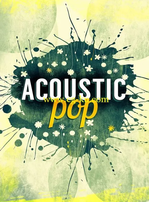 Big Fish Audio Acoustic Pop KONTAKT的图片1