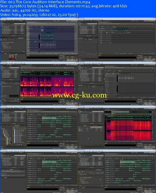 Peachpit Press – Introduction to Adobe Audition CS6 Learn by Video的图片1