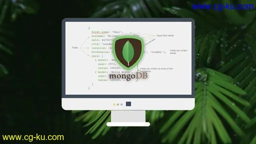 MongoDB – The Beginners Bootcamp的图片1