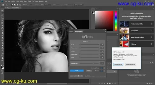 NBP Ultrasharp for Adobe Photoshop 1.0.003的图片2