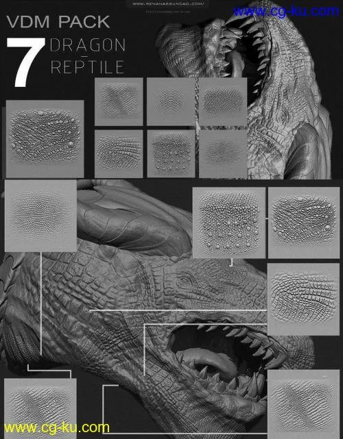 FlippedNormals – ZBRUSH – Reptile/Dragon VDM Pack的图片1