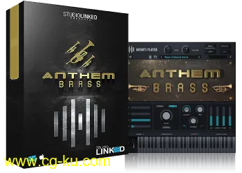 StudioLinked Infiniti Expansion Anthem Brass (WiN OSX)-DECiBEL的图片1