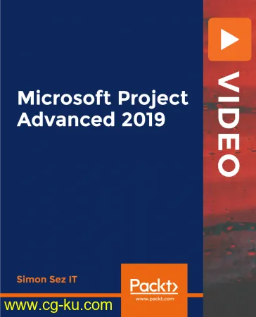 Microsoft Project Advanced 2019的图片1