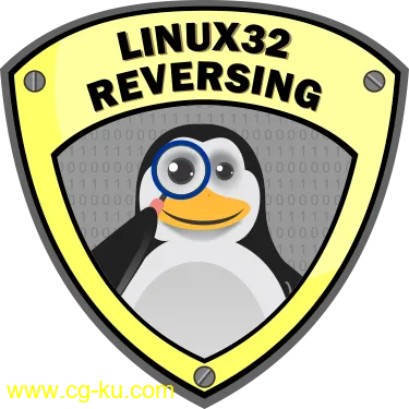 Reverse Engineering Linux 32-bit Applications的图片1