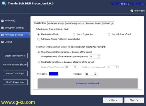 ThunderSoft DRM Protection 4.2.0的图片1