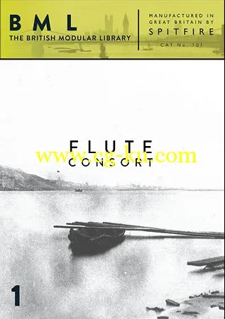 Spitfirе Audio BML Flute Consort Vol 1 KONTAKT的图片1