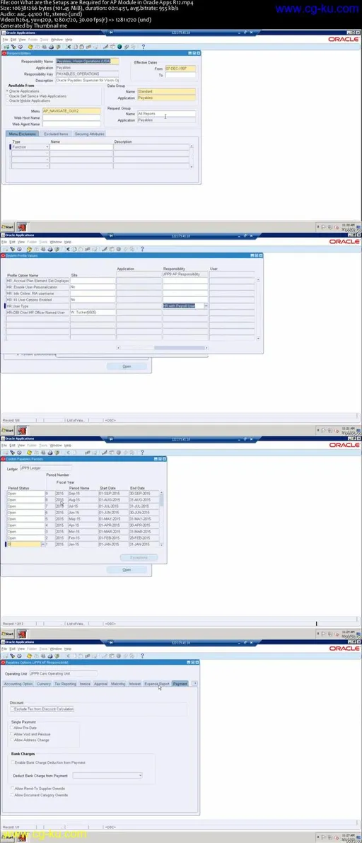 Learn Complete AP Module (Technical) in Oracle Apps R12的图片1