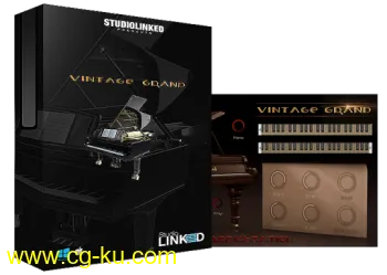 StudioLinked Vintage Grand Win/Mac的图片1