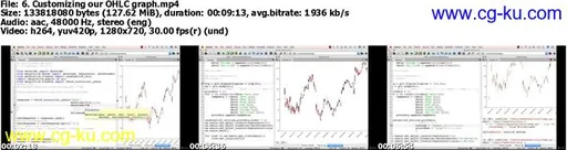 Python for Data Visualization & Fraud Detection Bootcamp的图片1