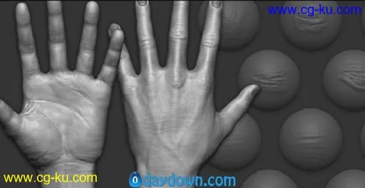 Gumroad – Zbrush – Hand Details VDM Brush的图片1