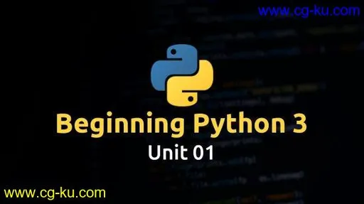 Beginning Python 3: A Brief, Easy Introduction的图片1