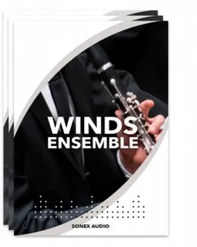 Sonex Audio Woodwinds Ensemble KONTAKT的图片1