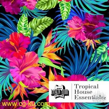 Rankin Audio Tropical House Essentials WAV的图片1