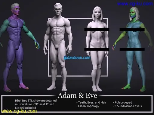 CGTrader – Basemesh Set – Adam and Eve 3D Model Collection的图片1