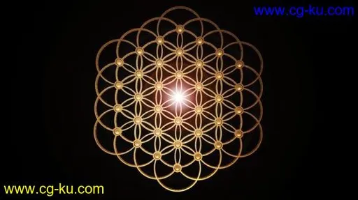 Rhino 3D Grasshopper flower of life and other patterns full的图片2