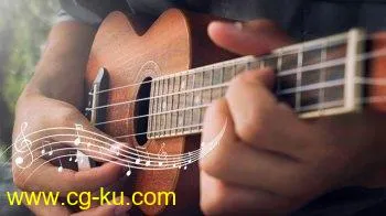 Complete Course on Baritone Ukulele TUTORiAL的图片1