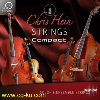 Chris Hein Strings Compact KONTAKT的图片1