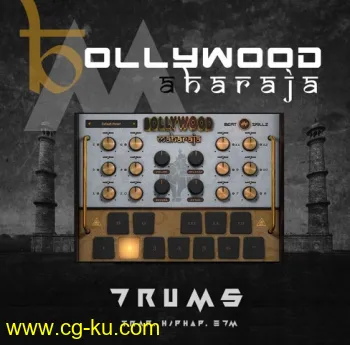 BeatSkillz Bollywood Maharaja v1.2 RETAiL WiN/OSX的图片1