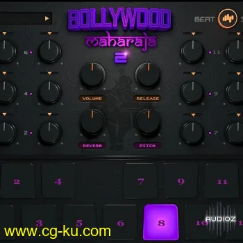 BeatSkillz Bollywood Maharaja v2.0 [WiN-OSX] RETAiL-SYNTHiC4TE的图片1