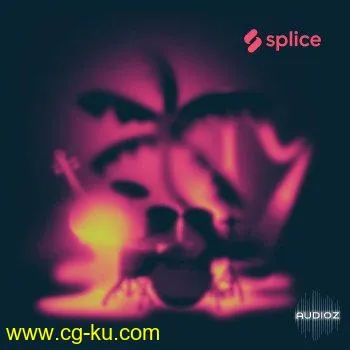 Splice Sounds Paradise Found with The Splice Orchestra WAV-DECiBEL的图片1