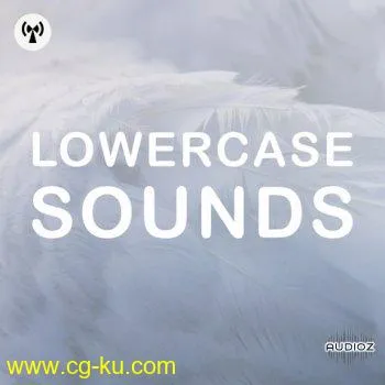 Noiiz Lowercase Sounds WAV的图片1