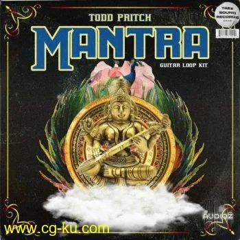 Todd Pritch Mantra Guitar Loop Kit WAV-DECiBEL的图片1