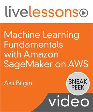 Machine Learning Fundamentals with Amazon SageMaker on AWS的图片2