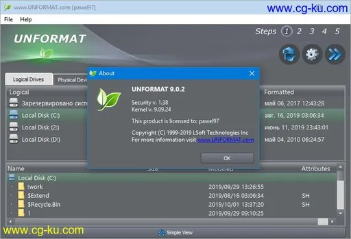 LSoft Technologies UNFORMAT Professional 9.0.2的图片2