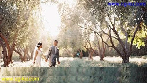 Lighting and Posing for Wedding Photographers的图片1