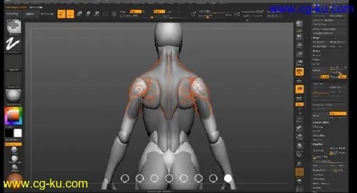 Gumroad – Female Anatomy Tutorial的图片1