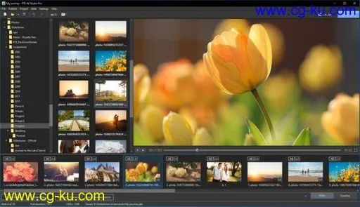 WnSoft PTE AV Studio Pro 10.0.12 Build 2 Multilingual的图片1