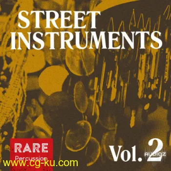 RARE Percussion Street Instruments Vol.2 WAV的图片1