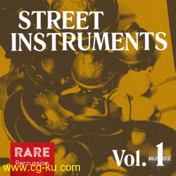 RARE Percussion Street Instruments Vol.1 WAV的图片1