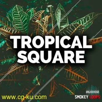 Smokey Loops Tropical Square WAV MiDi的图片1