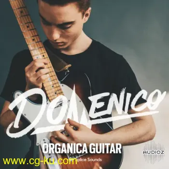 DOMENICO: Organica Guitar WAV的图片1