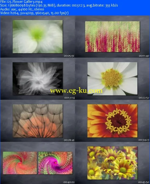 Peachpit Press – Flower Photography Artistry的图片2