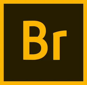 Adobe Bridge 2020 v10.1.1.166 x64 Multilingual的图片1