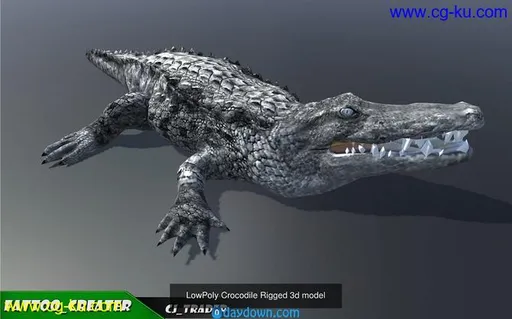 CGTrader – Lowpoly Wild Animals Rigged 3D models Collection Pack的图片4