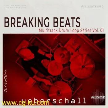 Ueberschall Breaking Beats ELASTIK的图片1