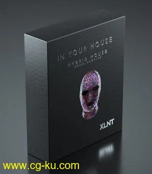 XLNTSOUND In Your House MULTiFORMAT-DECiBEL的图片1