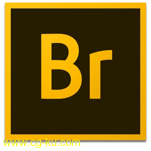 Adobe Bridge 2020 v10.1.1 MacOS的图片1