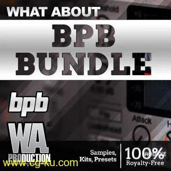 WA Production BPB Bundle Future Bass Pop Synthwave WAV MiDi XFER SERUM PRESETS的图片1