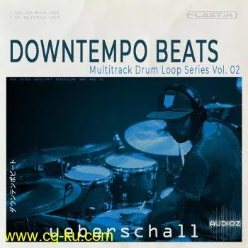 Ueberschall Downtempo Beats ELASTIK的图片1