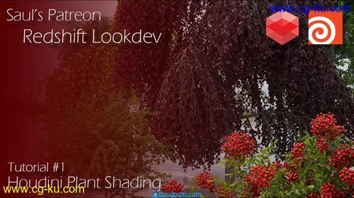 Patreon – Redshift + Houdini Plant Lookdev的图片1