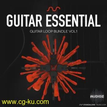 Standalone-Music – Guitar Essentials Vol. 1 Wav的图片1